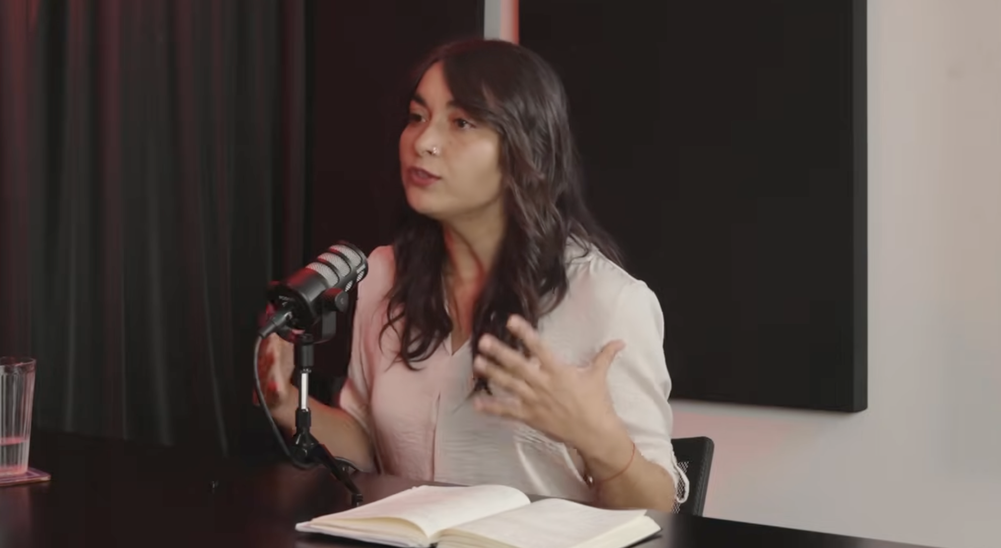 "La educación tiene que formar pensamiento crítico, no adoctrinamiento": Constanza Schonhaut, la exconstituyente que vuelve al ruedo captura de pantalla 2026 06 25 a la(s) 12.59.07